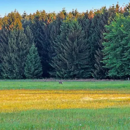 Semesterbostad Ferienhaus Viereck