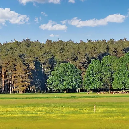 Ferienhaus Viereck Semesterbostad *
